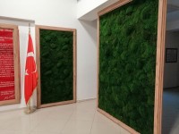 yosun duvar tasarım ve uygulama